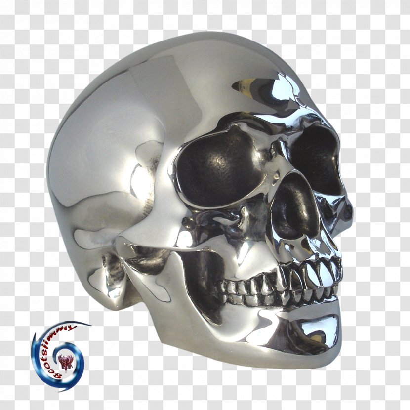 Skull And Crossbones Google Chrome Animal Skulls - Web Browser Transparent PNG