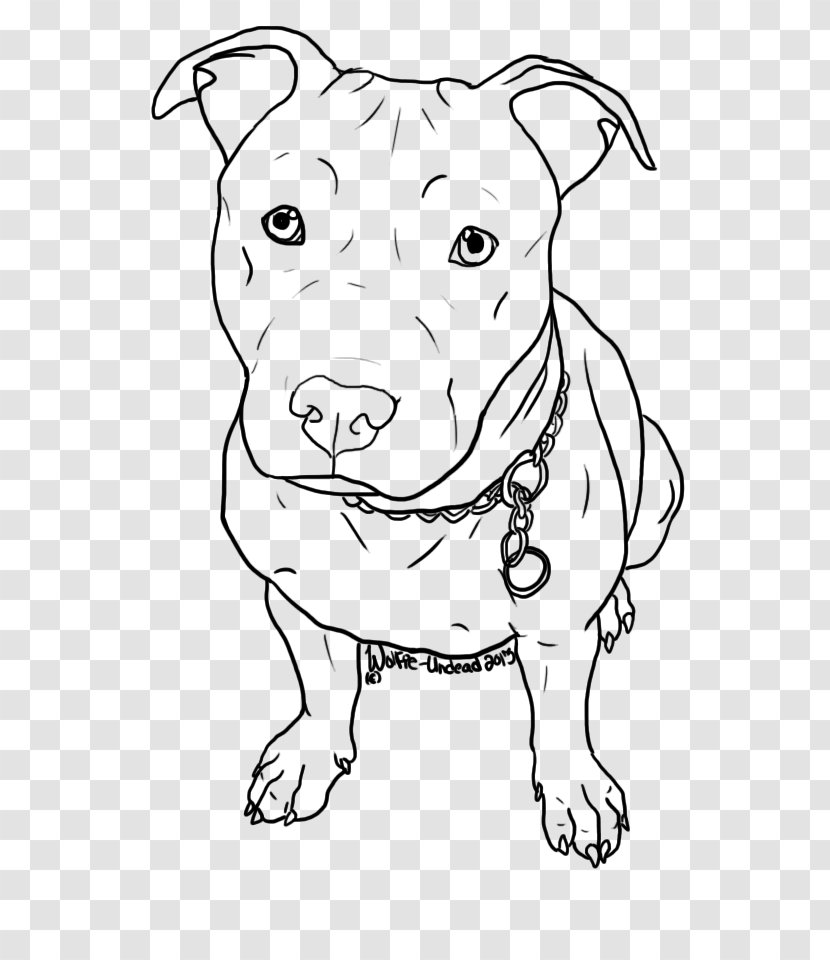 American Pit Bull Terrier Puppy Drawing - Dog Breed - Pitbull Transparent PNG