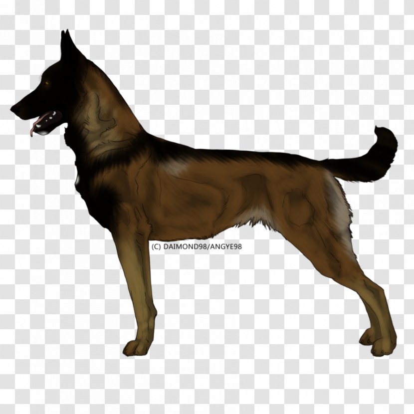 Dog Breed German Shepherd Belgian Tervuren Malinois - Spreadshirt - T-shirt Transparent PNG