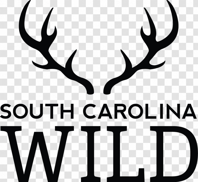 South Carolina Department Of Natural Resources Deer Wildlife Shop Equal Employment Opportunity Antler - Hunting Transparent PNG