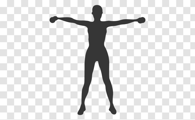 Silhouette Female Drawing - Abdomen - Fitness Transparent PNG