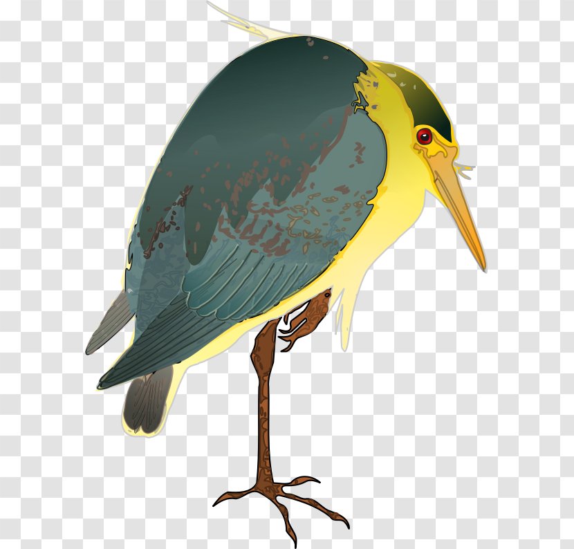 Green Heron Bird Crane Night - Great Blue Transparent PNG
