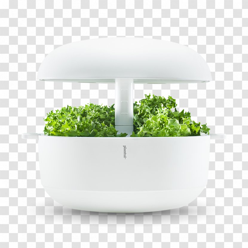 Gardening Plantui Smart Garden LLP Hydroponics Leaf Vegetable - Watering Cans Transparent PNG