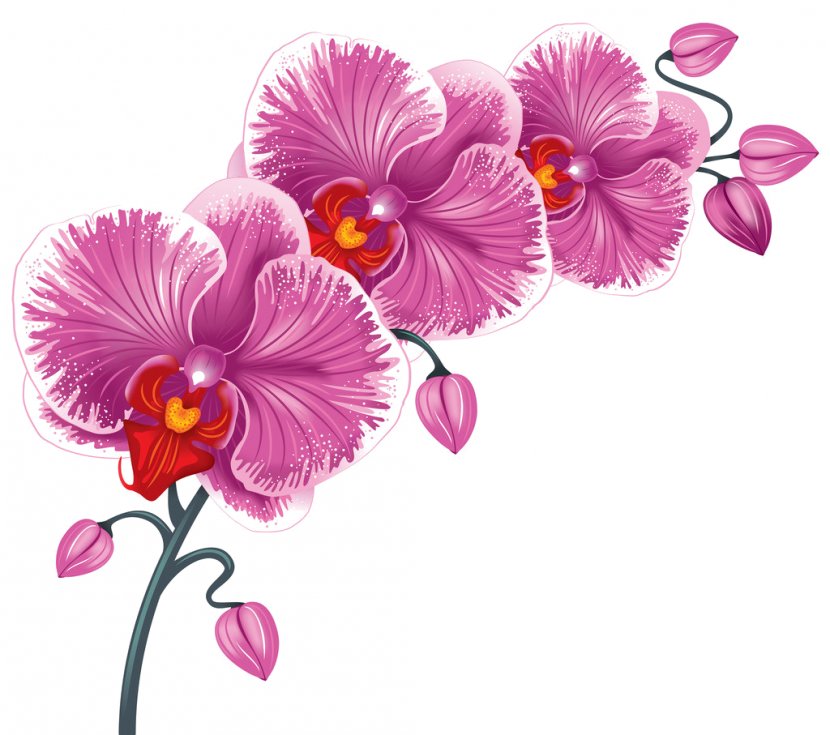 Flower Desktop Wallpaper Clip Art - Violet - Beauty Parlor Images Transparent PNG