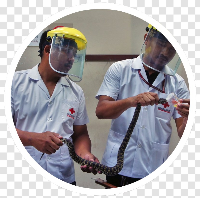 Headgear Service Personal Protective Equipment Product - International Red Cross Volunteer Transparent PNG