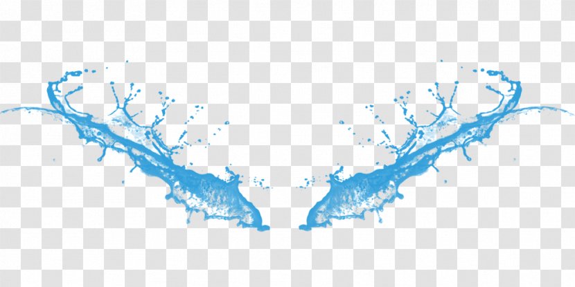 Water Creativity Graphic Design - Creative Wings Transparent PNG