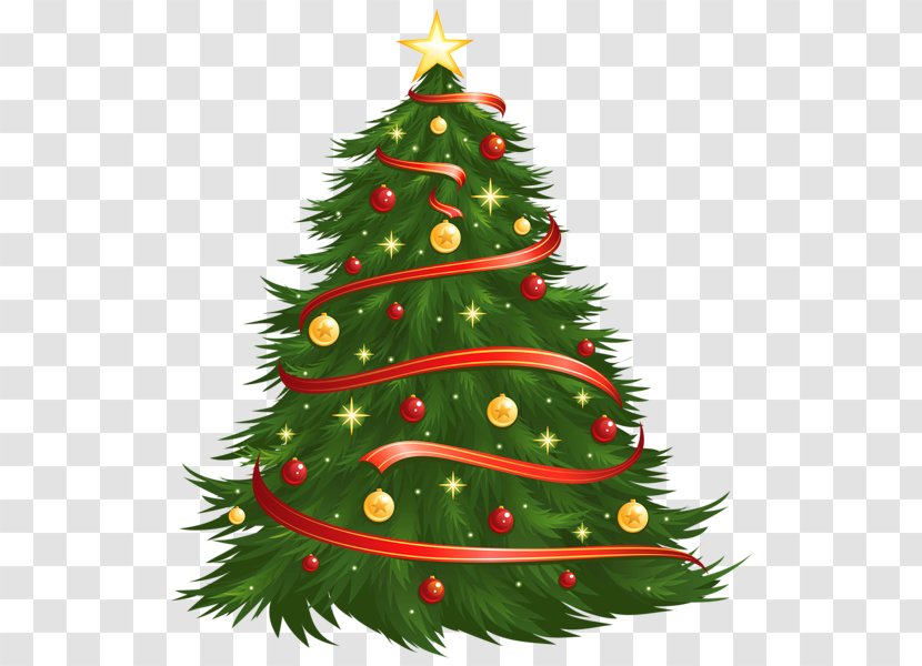 Christmas Tree Clip Art - Conifer - Large Size Transparent PNG