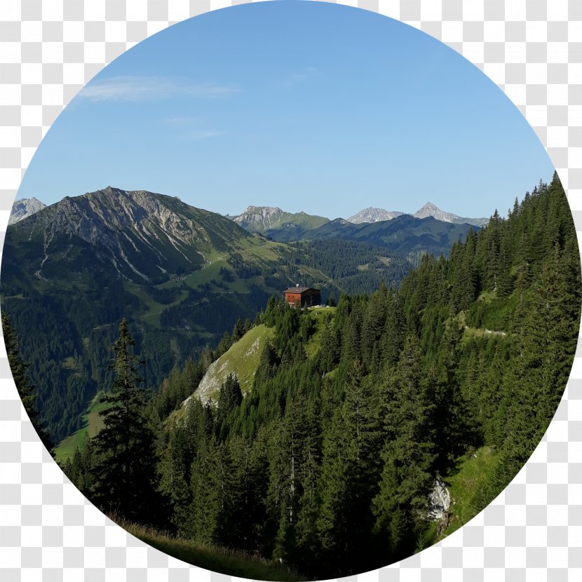 Mount Scenery Alps National Park Biome Hill Station - Sky - Tree Transparent PNG