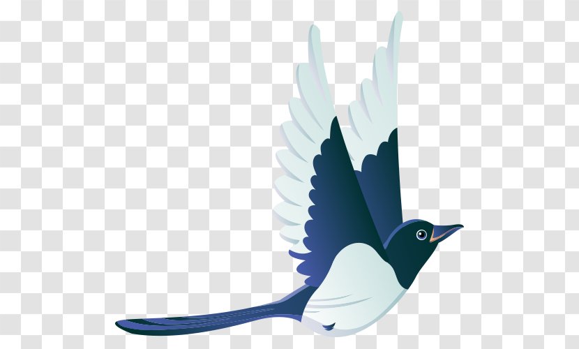 Bird Flight Mallard - Feather - Flying The Transparent PNG