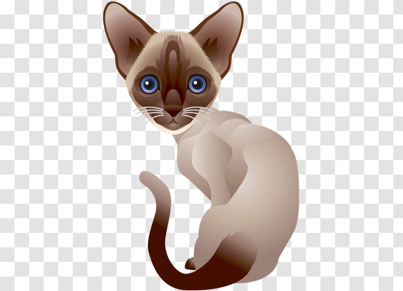 Cat Kitten Clip Art Transparent PNG