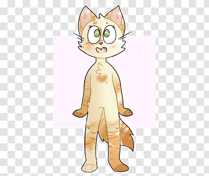 Whiskers Kitten Tabby Cat Canidae Transparent PNG