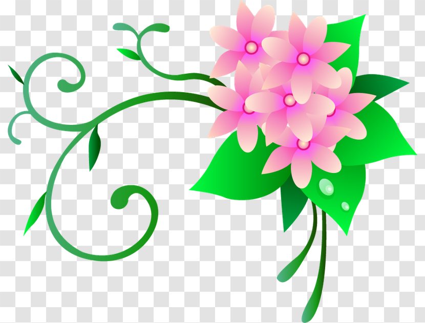 Vector Graphics Design Image Flower Motif - Designer - Stary Frame Transparent PNG