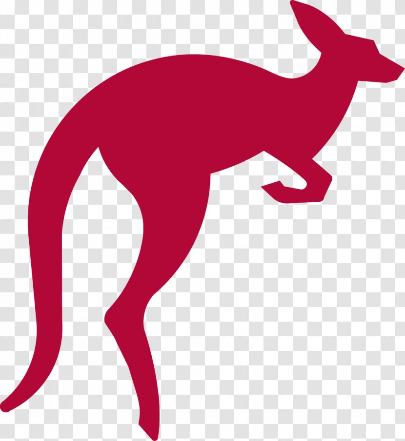 Red Kangaroo Macropodidae Clip Art - Pouch Transparent PNG