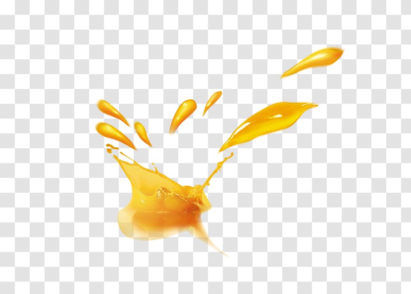 Orange Juice Fruchtsaft - Splash Of Juice,Orange Transparent PNG