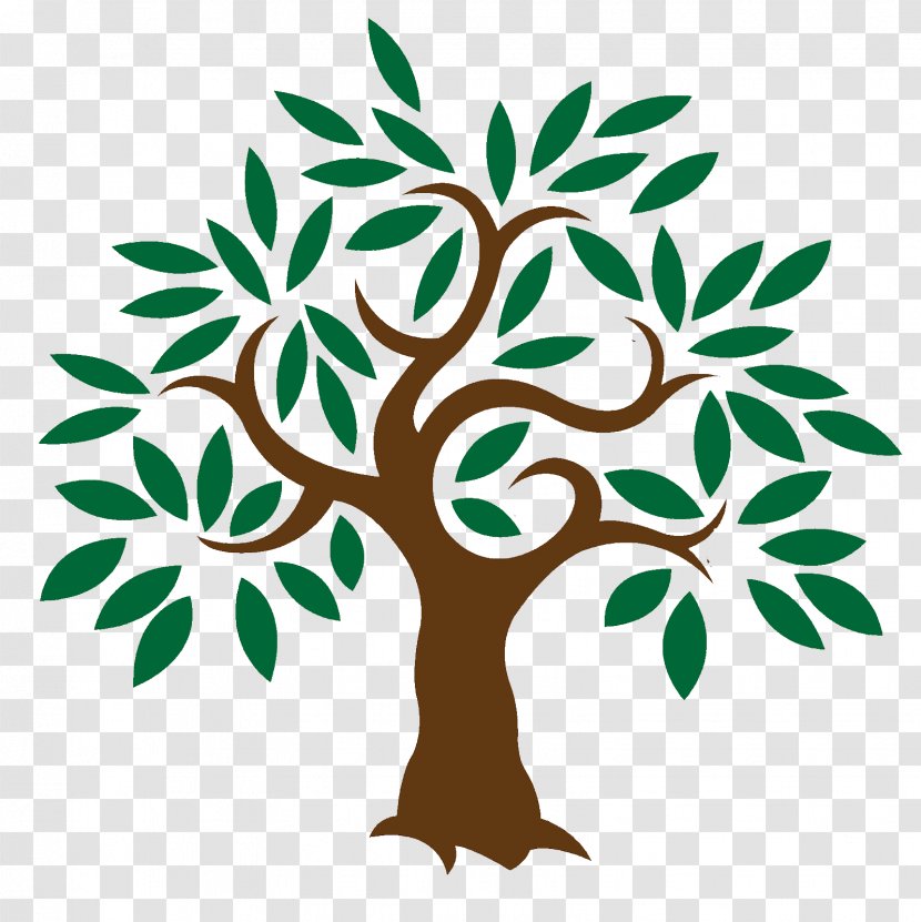 Olive Learn About Trees Clip Art - Flora - Meditation Transparent PNG