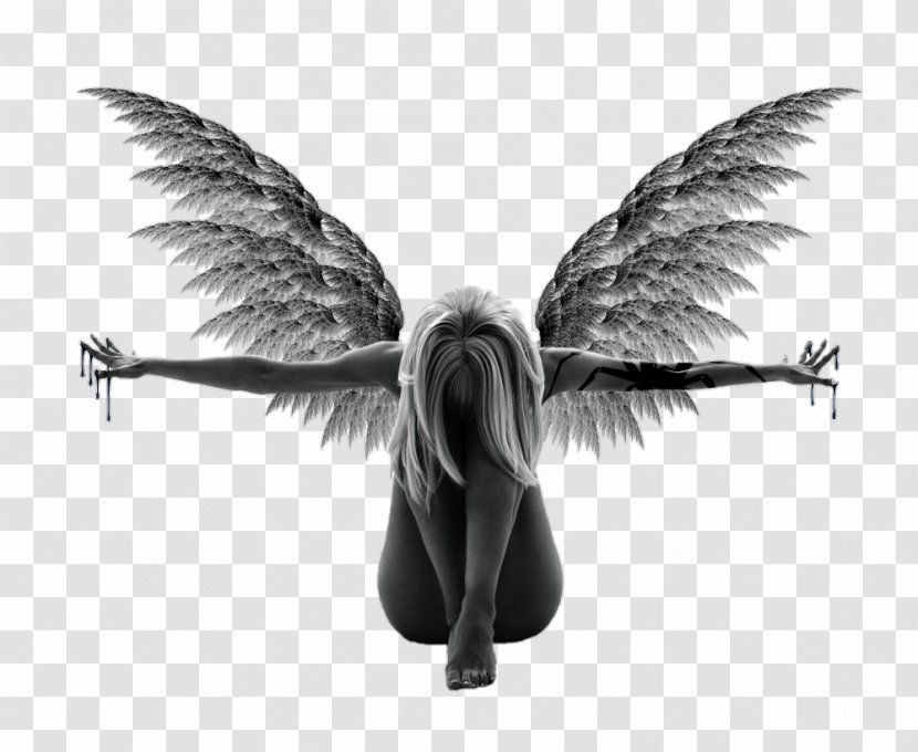 Angel Icon - Wing Transparent PNG