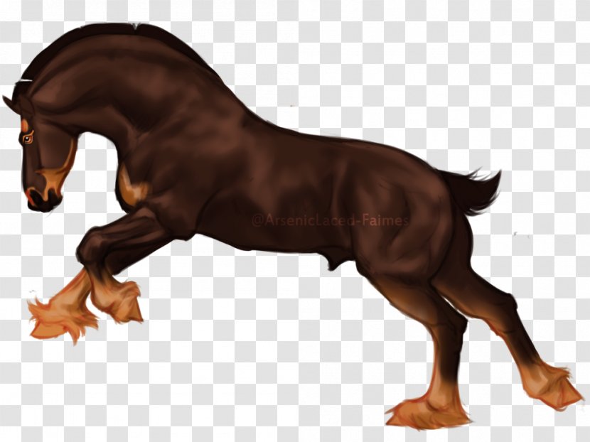Mustang Stallion Foal Mare Pony - Animal Figure Transparent PNG