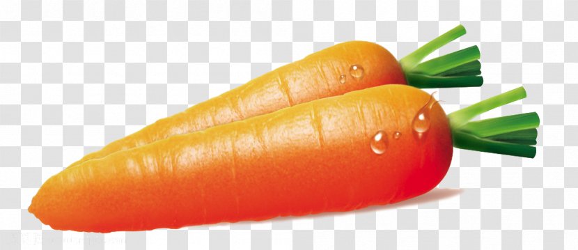 Carrot Vegetable Food Nutrition - Natural Foods - Hand-painted Transparent PNG