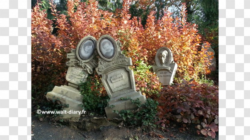 Phantom Manor Disneyland Park Paris Frontierland Ghost - Garden Transparent PNG