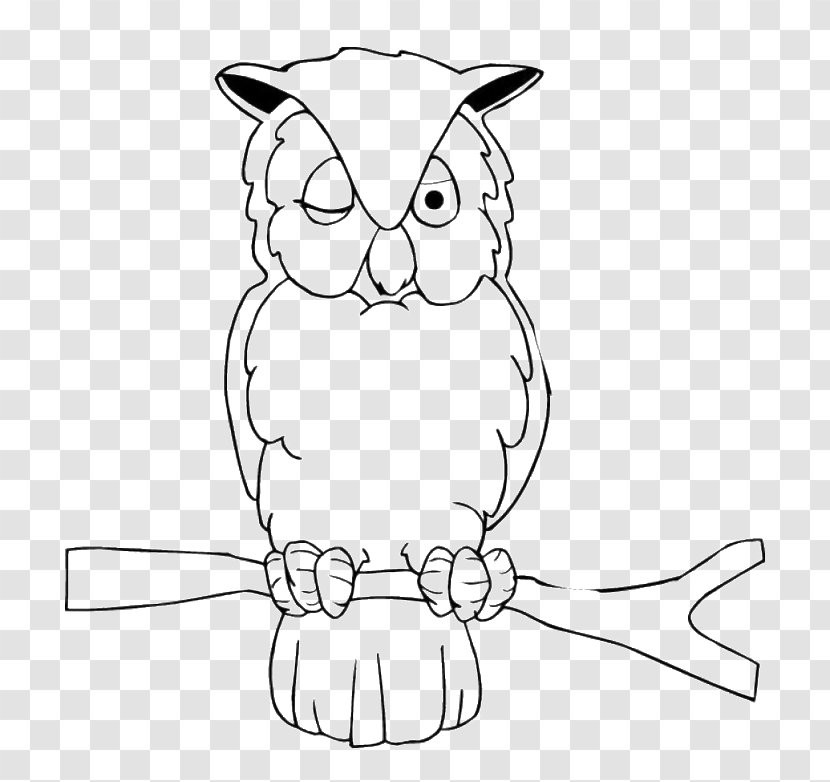 Owl Coloring Book Bird Drawing Clip Art - Small To Medium Sized Cats - RIP Transparent PNG