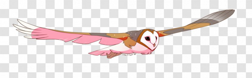 Beak Bird Of Prey Wing Feather - Barn Owl Transparent PNG