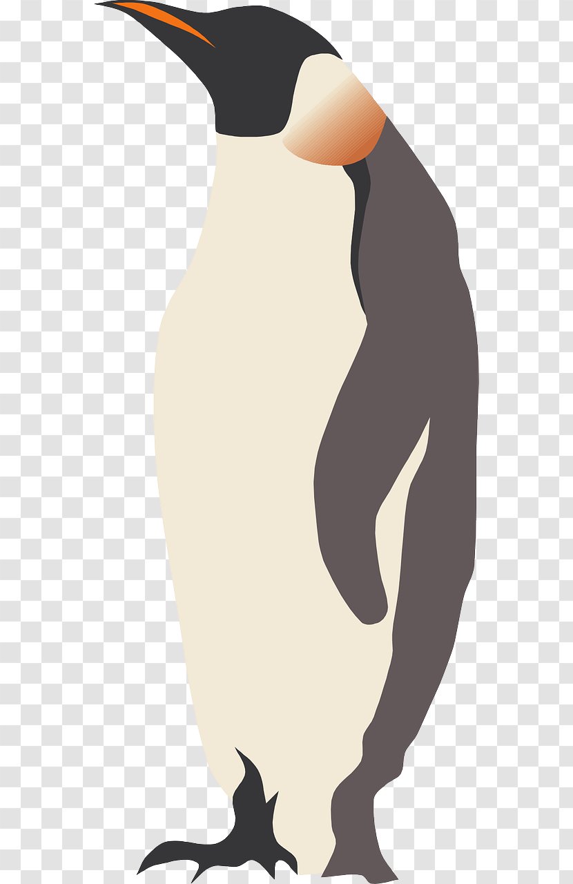 King Penguin Clip Art - Image File Formats Transparent PNG