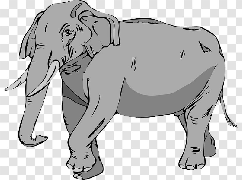 Asian Elephant African Clip Art Tusk - Asia - Mammals Cartoon Transparent PNG