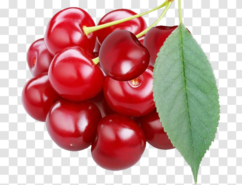 Sweet Cherry Fruit Clip Art - Cranberry Transparent PNG