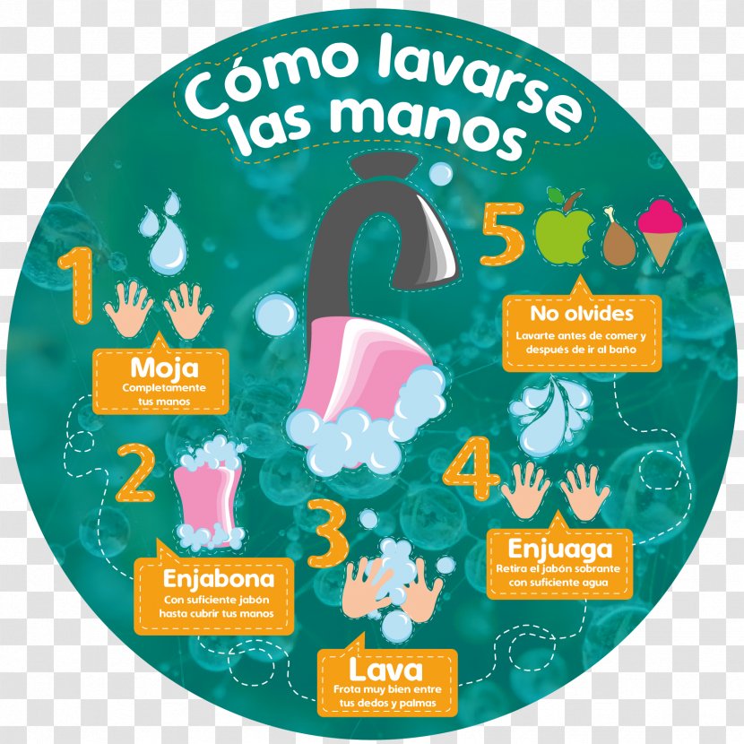 Hand Washing Infographic Illustration Transparent PNG