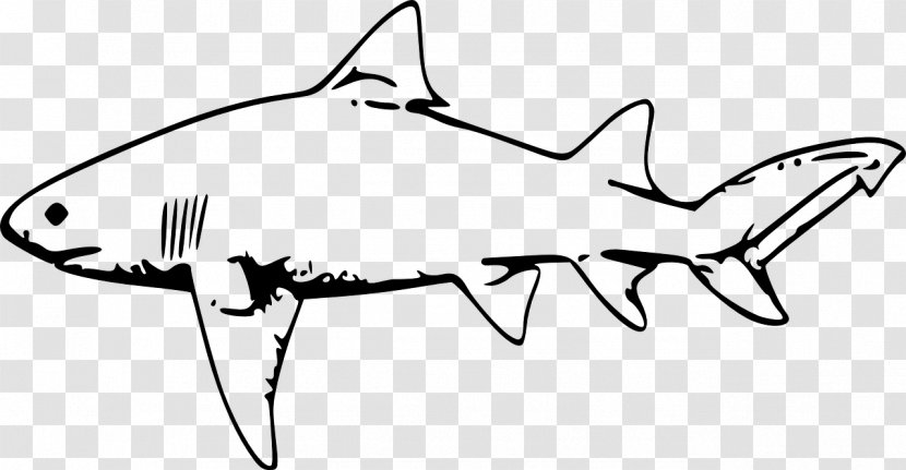 Great White Shark Tiger Clip Art - Wildlife Transparent PNG
