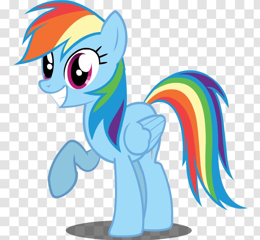 Rainbow Dash Derpy Hooves Rarity Twilight Sparkle Pony - Cartoon - My Little Transparent PNG