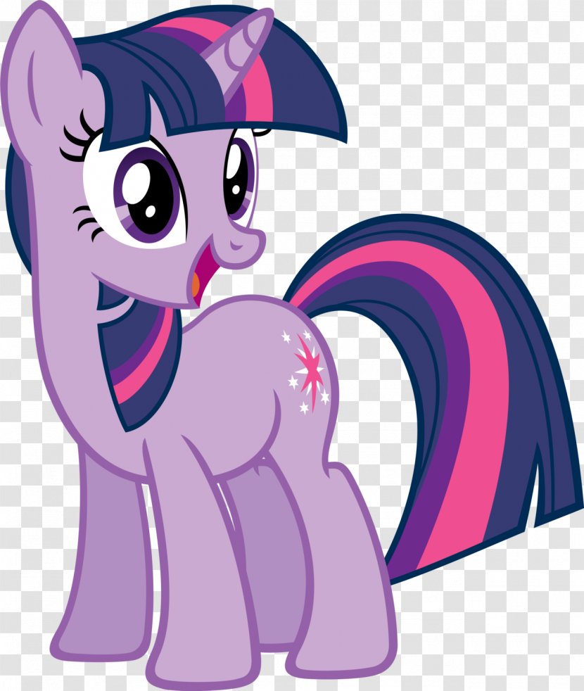 Twilight Sparkle Rarity Pinkie Pie Rainbow Dash Pony - Flower Transparent PNG
