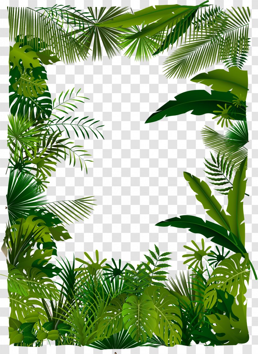 Tropical Forest Euclidean Vector Tree Illustration - Plant - Trees Transparent PNG