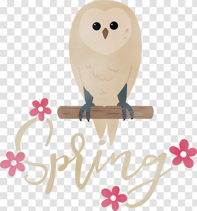 Text Birds Owl M Beak Transparent PNG