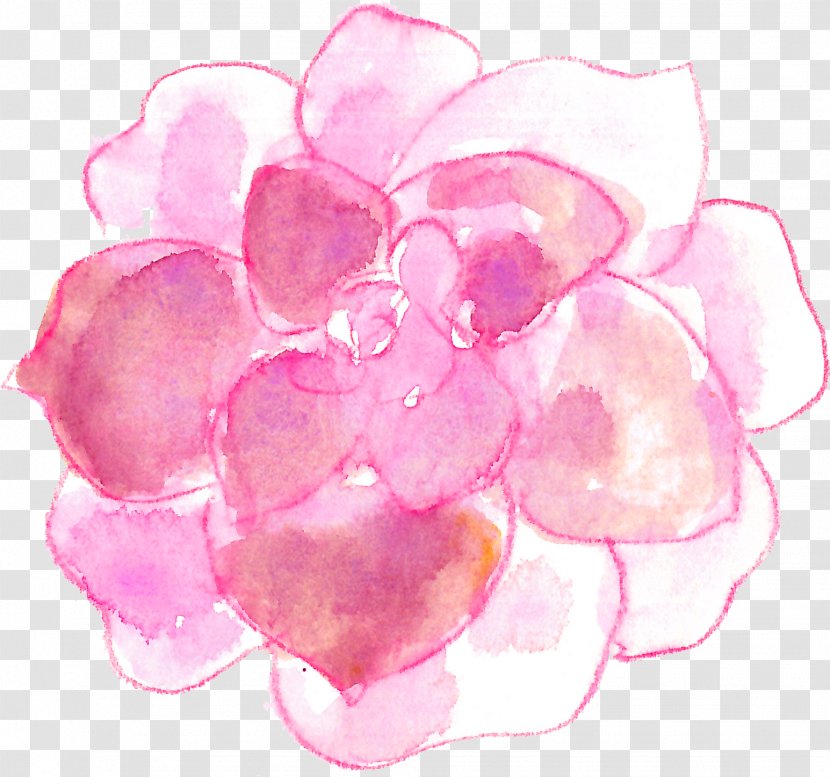 Succulent Plant Watercolor Painting - Plants Transparent PNG