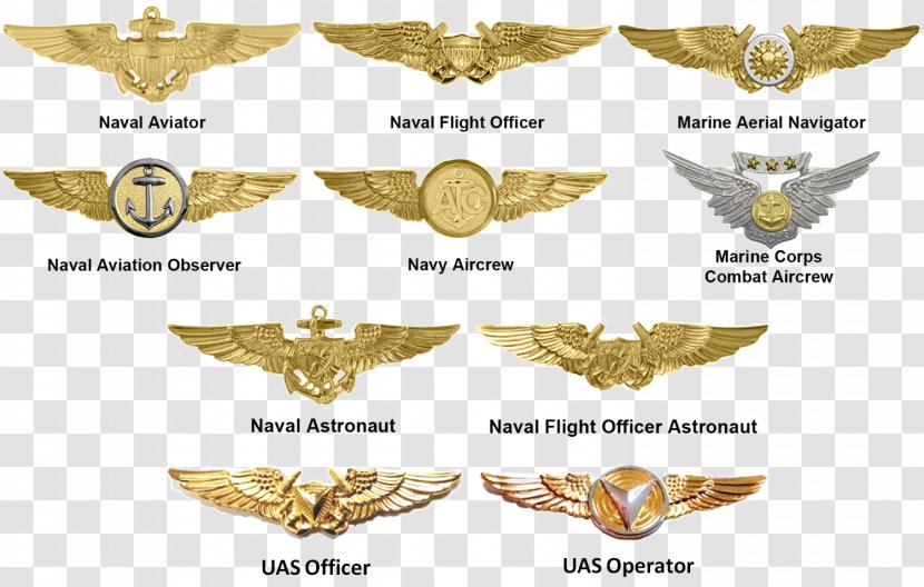 Badges Of The United States Marine Corps Unmanned Aerial Vehicle America Rank Insignia - Navy - Aviation Wings Transparent PNG