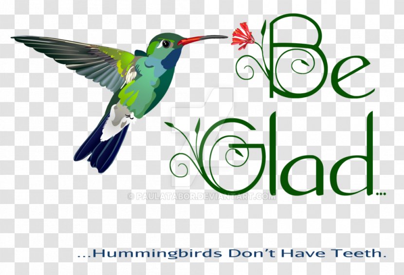 Digital Painting Humour Hummingbird M Cartoon - Beak Transparent PNG