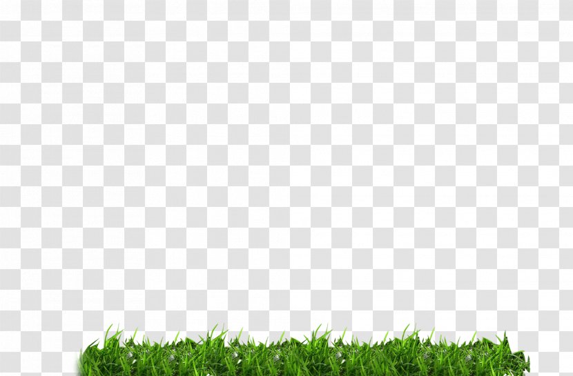 Green Download Icon - Search Engine - Grass Transparent PNG