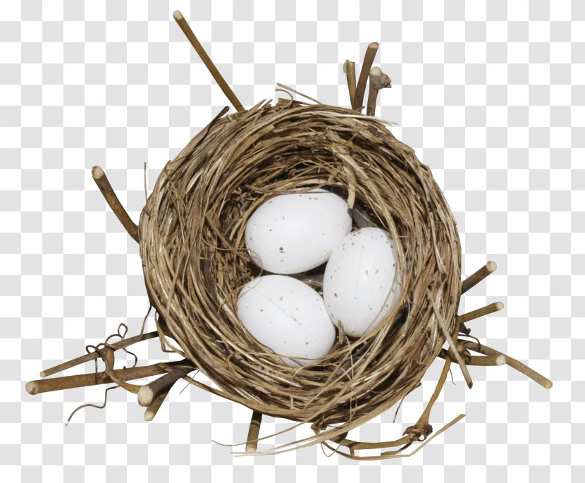 Bird Nest Egg - Easter - Eggs Transparent PNG