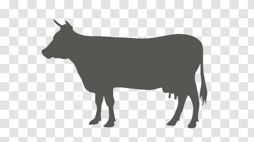 Beef Cattle Livestock - Sheep - The Name Of Article Transparent PNG