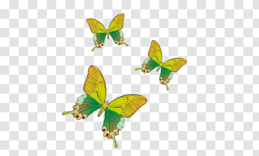 Monarch Butterfly Yellow - Chartreuse - Yellow-green Vector Transparent PNG