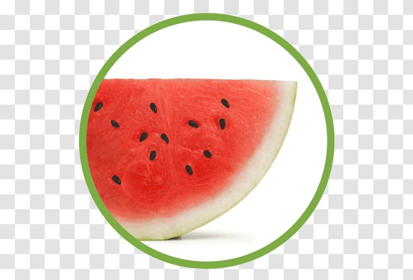Watermelon Cucurbitaceae Food - Melon Transparent PNG