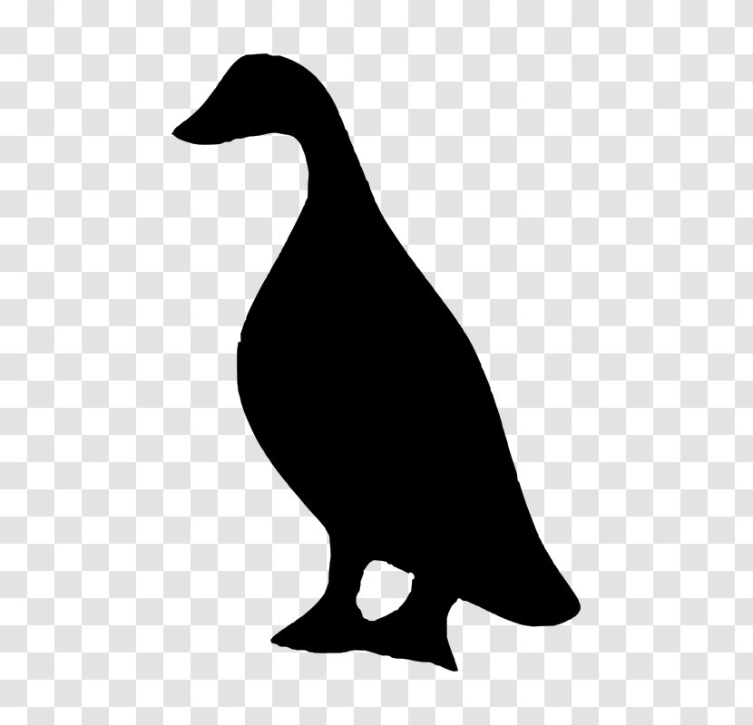 Duck Bird Silhouette Goose - Cygnini - DUCK Transparent PNG