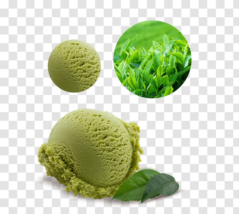 Green Tea Ice Cream Matcha Transparent PNG