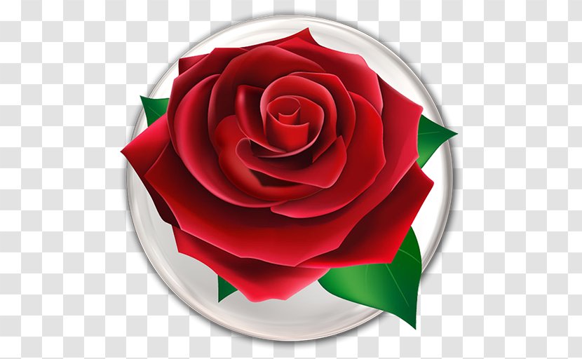 Flower Mania Rose Android Download - Animation Transparent PNG