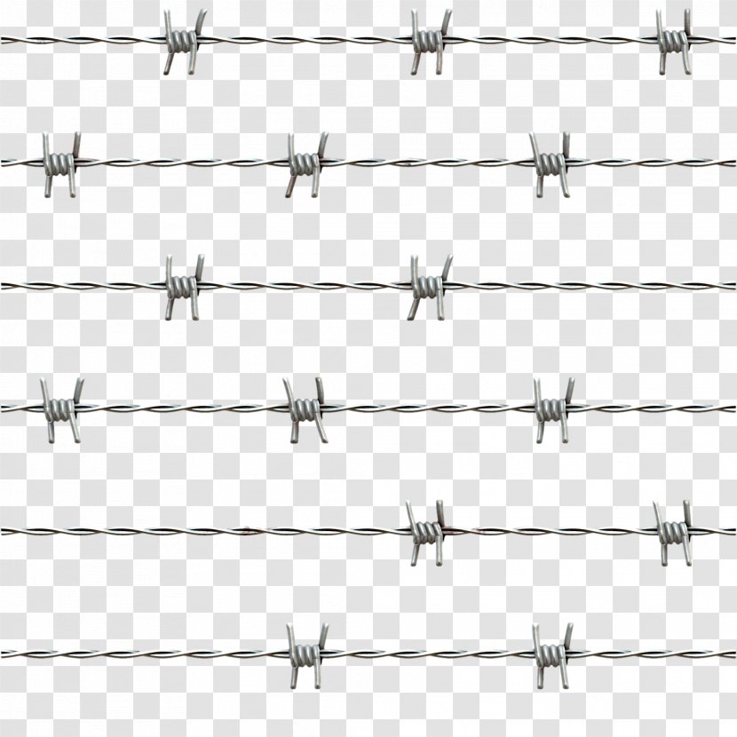 Barbed Wire Stock Photography - Tree - Razor Cliparts Transparent PNG