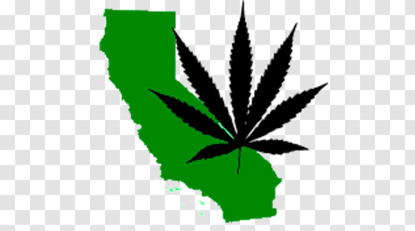 Cannabis In California Medical Adult Use Of Marijuana Act Legality - Flowering Plant Transparent PNG