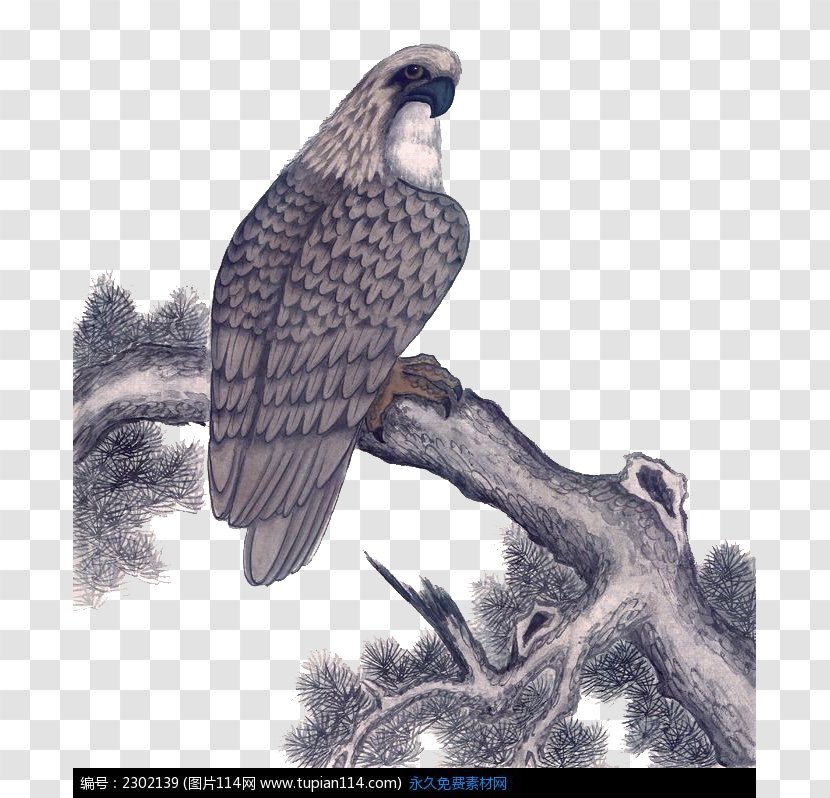 Ink Wash Painting Eagle - Falcon Transparent PNG