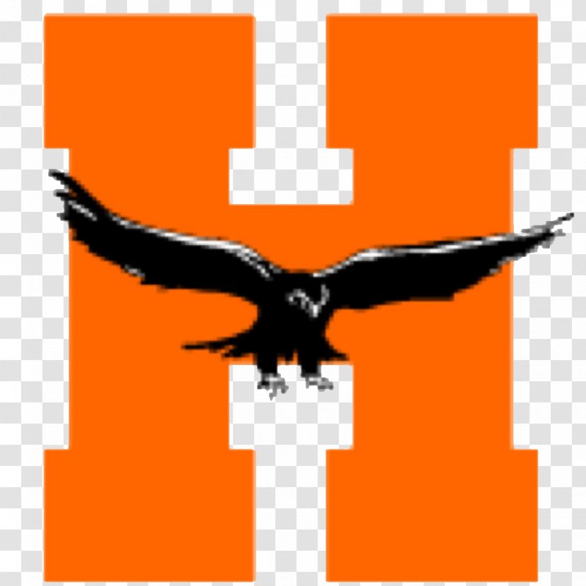 Hayfield Secondary School Hayfield, Fairfax County, Virginia National Mount Vernon High - Alumnus - Hawk Transparent PNG