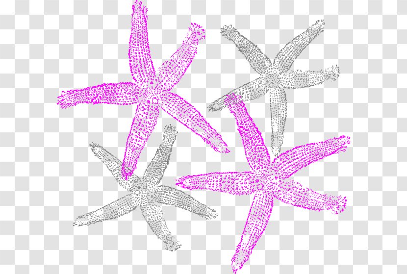 Starfish Clip Art - Drawing Transparent PNG